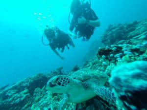 Diving with a wristwatch sized dive computer