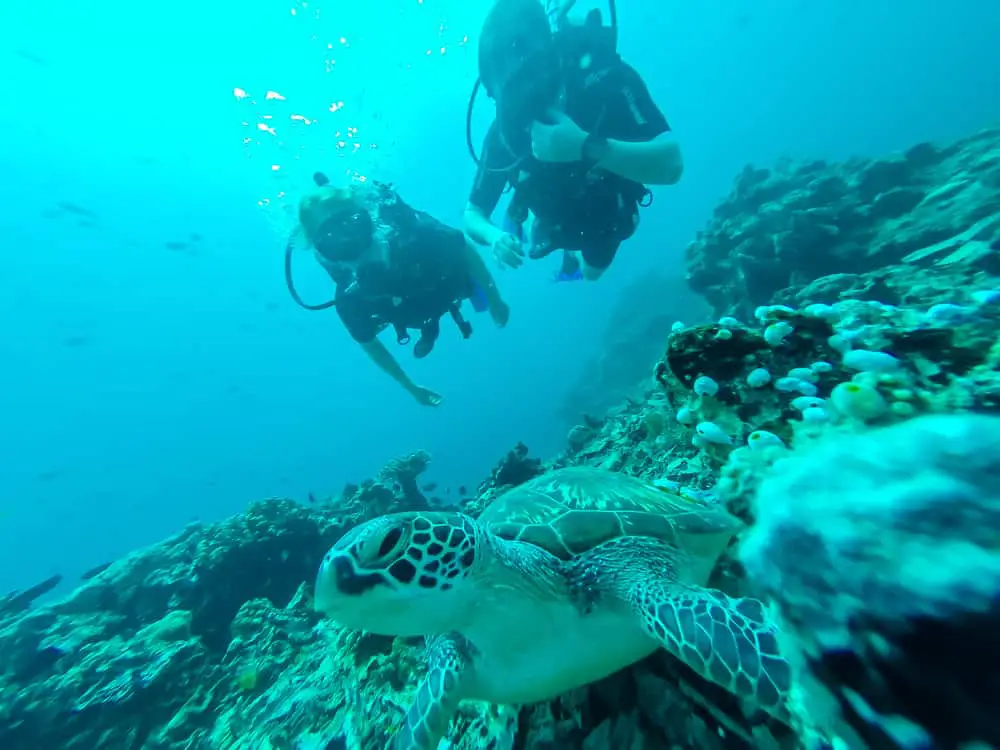 Diving with a wristwatch sized dive computer