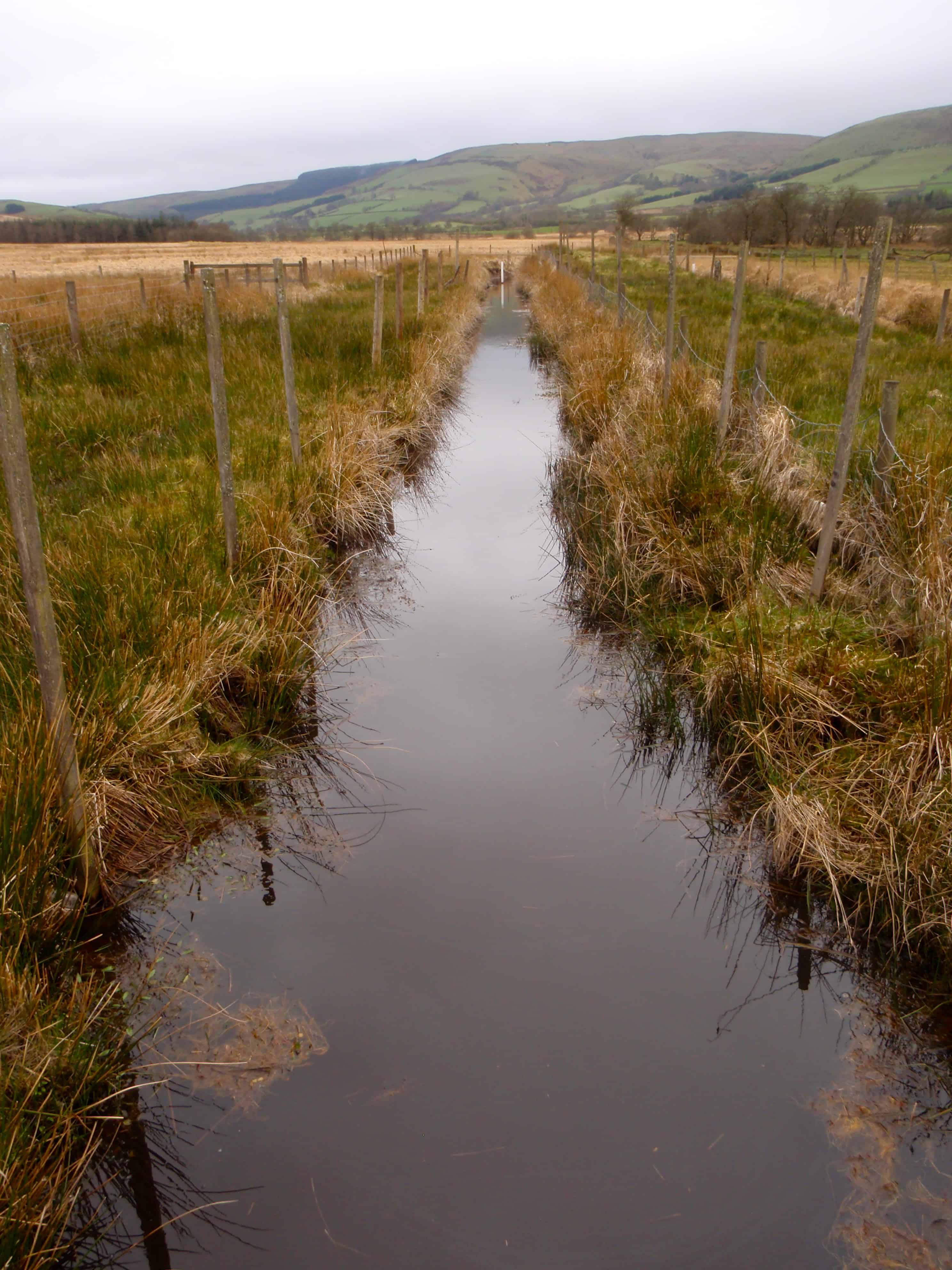 World Bog Snorkelling Location