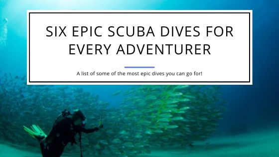 Six Epic Scuba Dives for Every Adventurer