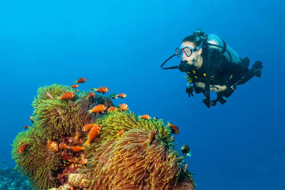 Diving and avoiding decompression - Use less energy when under the sea and reduce carbon dioxide build up.