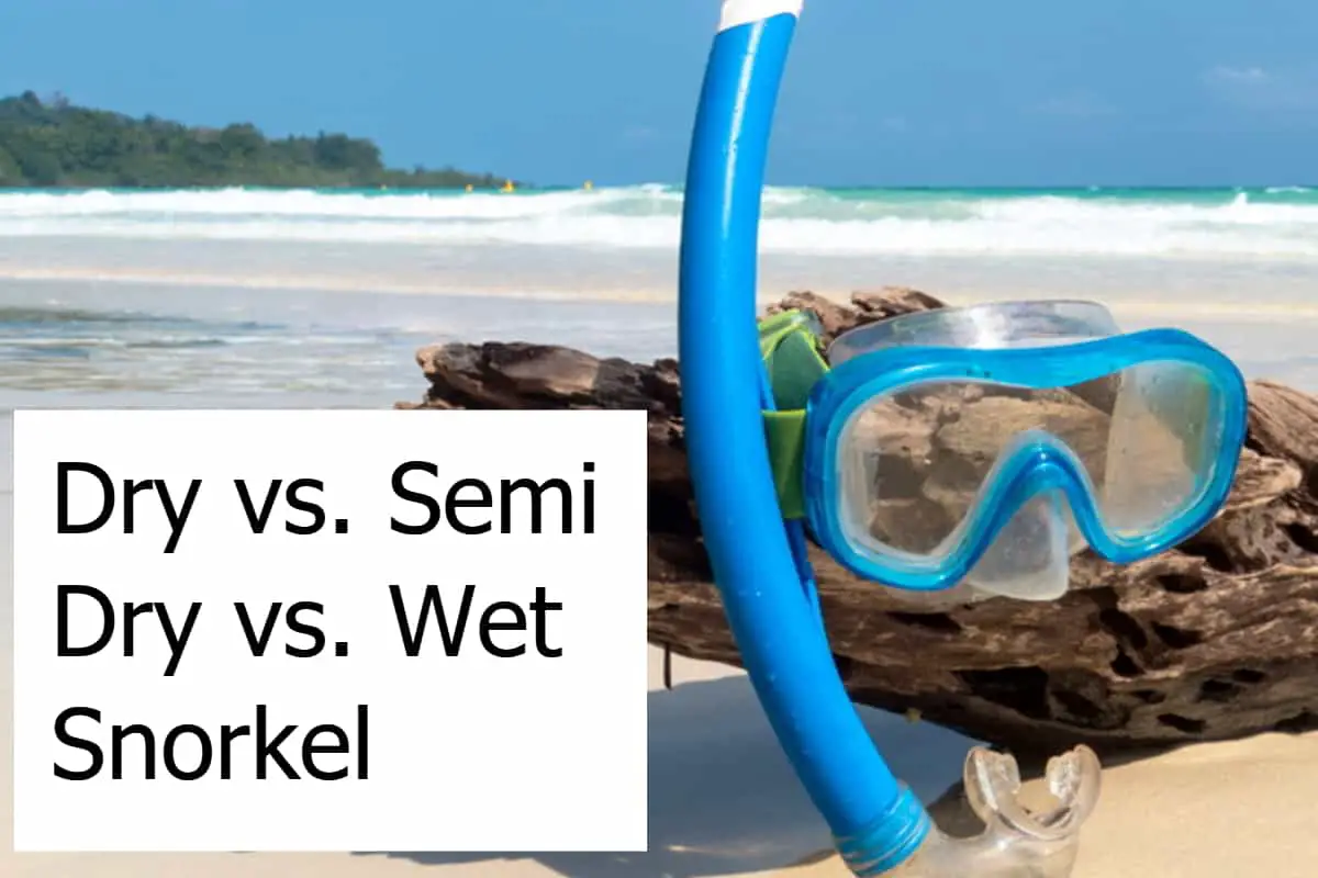 Dry vs. Semi Dry vs. Wet Snorkel