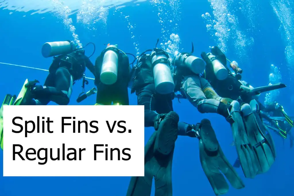 Split Fins vs Blade Fins are available as open-heel or full foot variants. Are paddle fins better than splits?