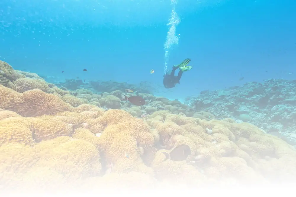 Scuba diving with a fogged up mask