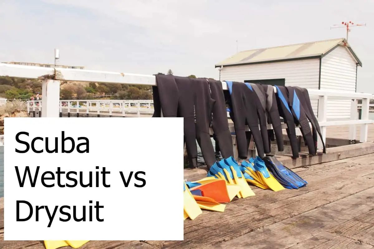 Scuba Diving Wetsuit vs Drysuit