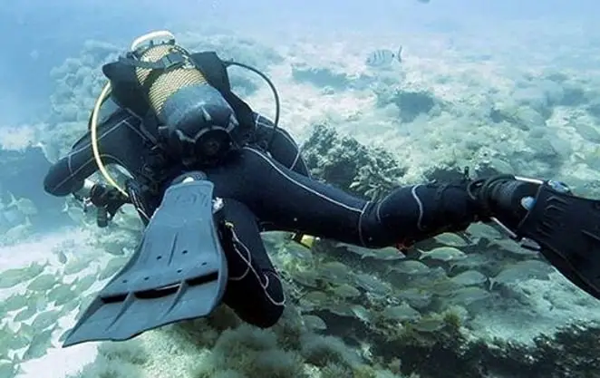 Jet Fins for all underwater activity