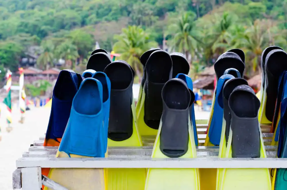 Full-Foot Scuba Diving Fins waiting for usage