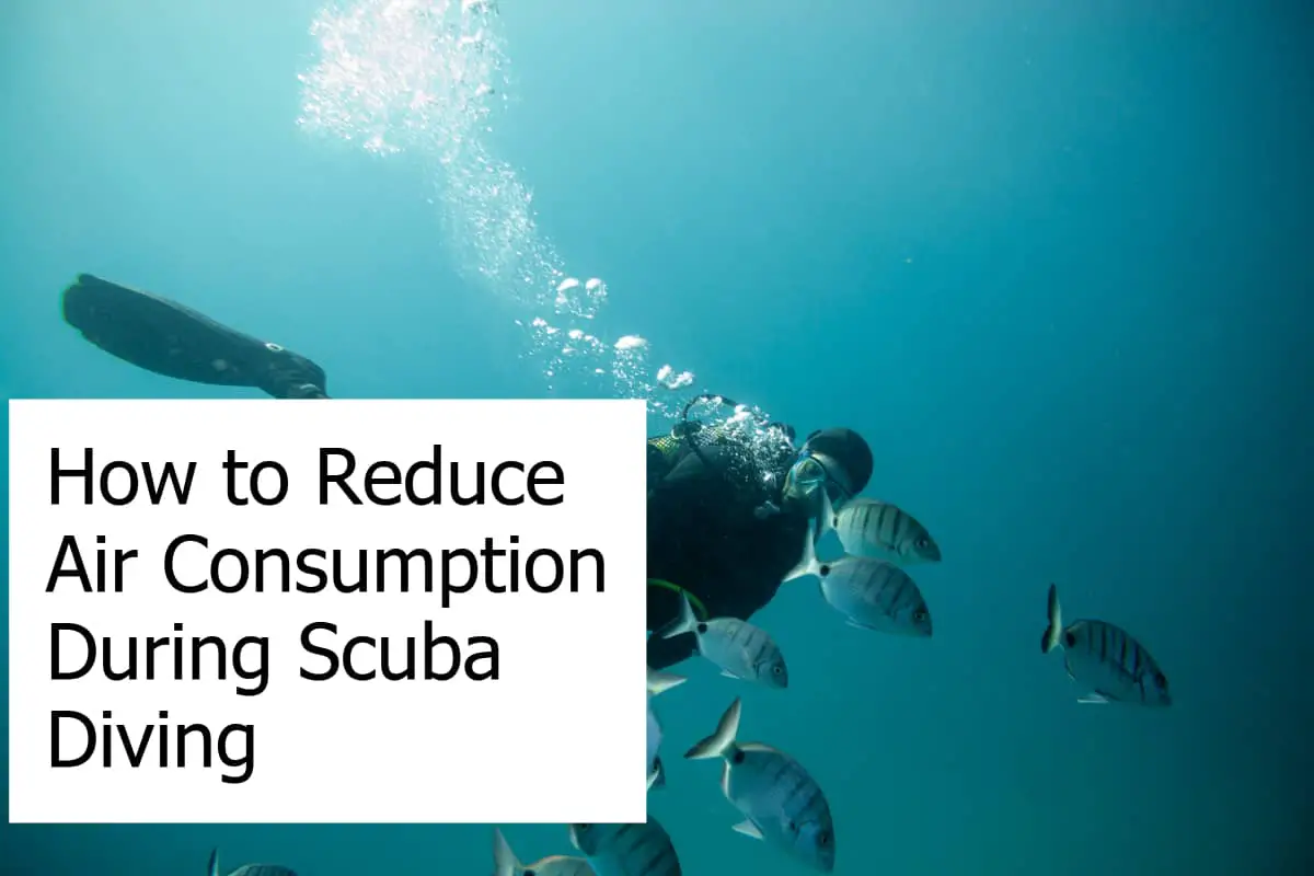Tips on how you can optimize and reduce your consumption of air when scuba diving
