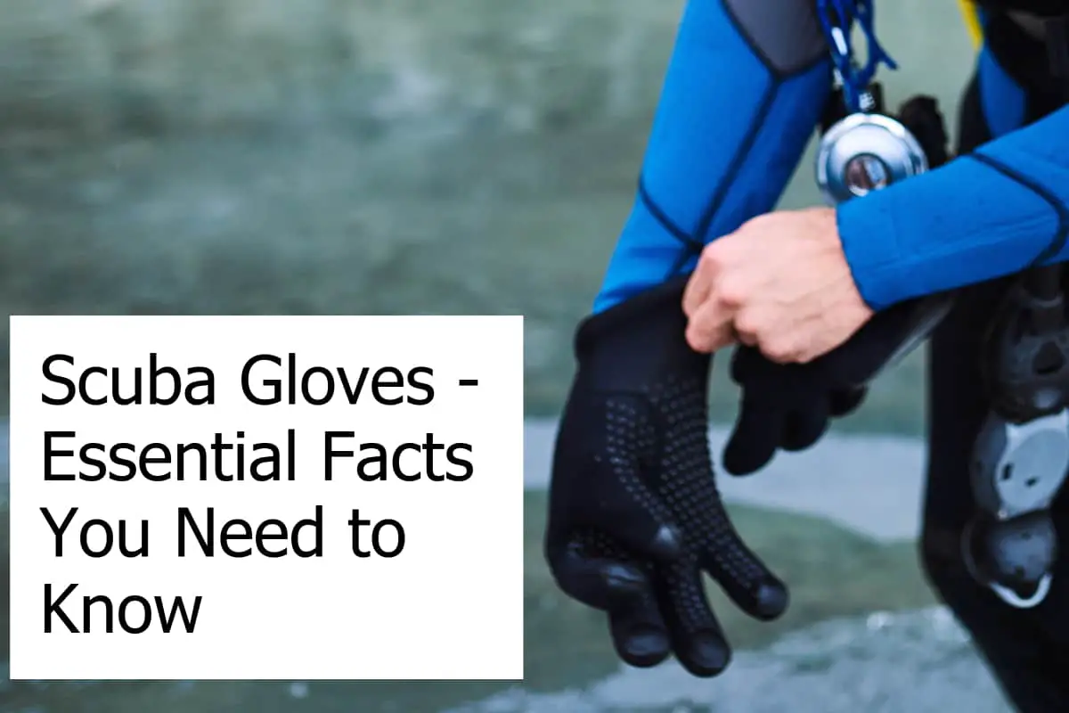 Essential Facts you should know about Scuba Diving Gloves