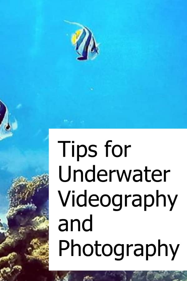 Tips on how you can improve your videos and photos during scuba diving