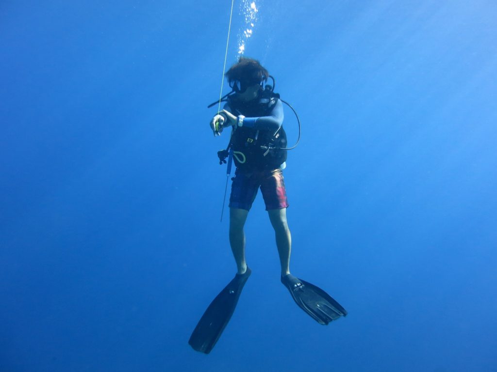 Dive Rope