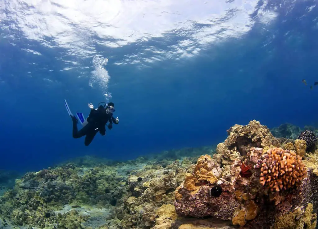 Diving on your back - a skill a scuba diver needs to master