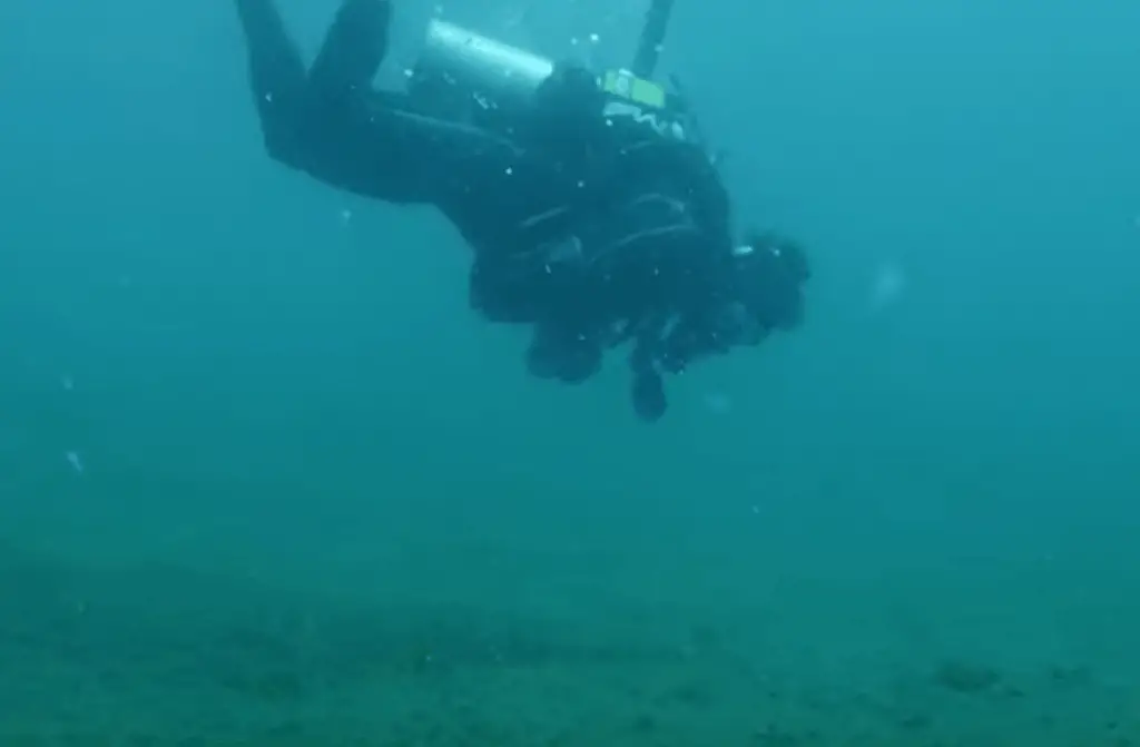 Muck Diving