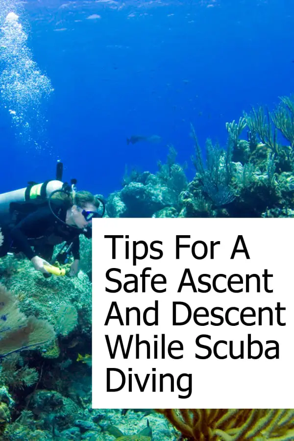 What you need to know to safely descend and ascend when scuba diving