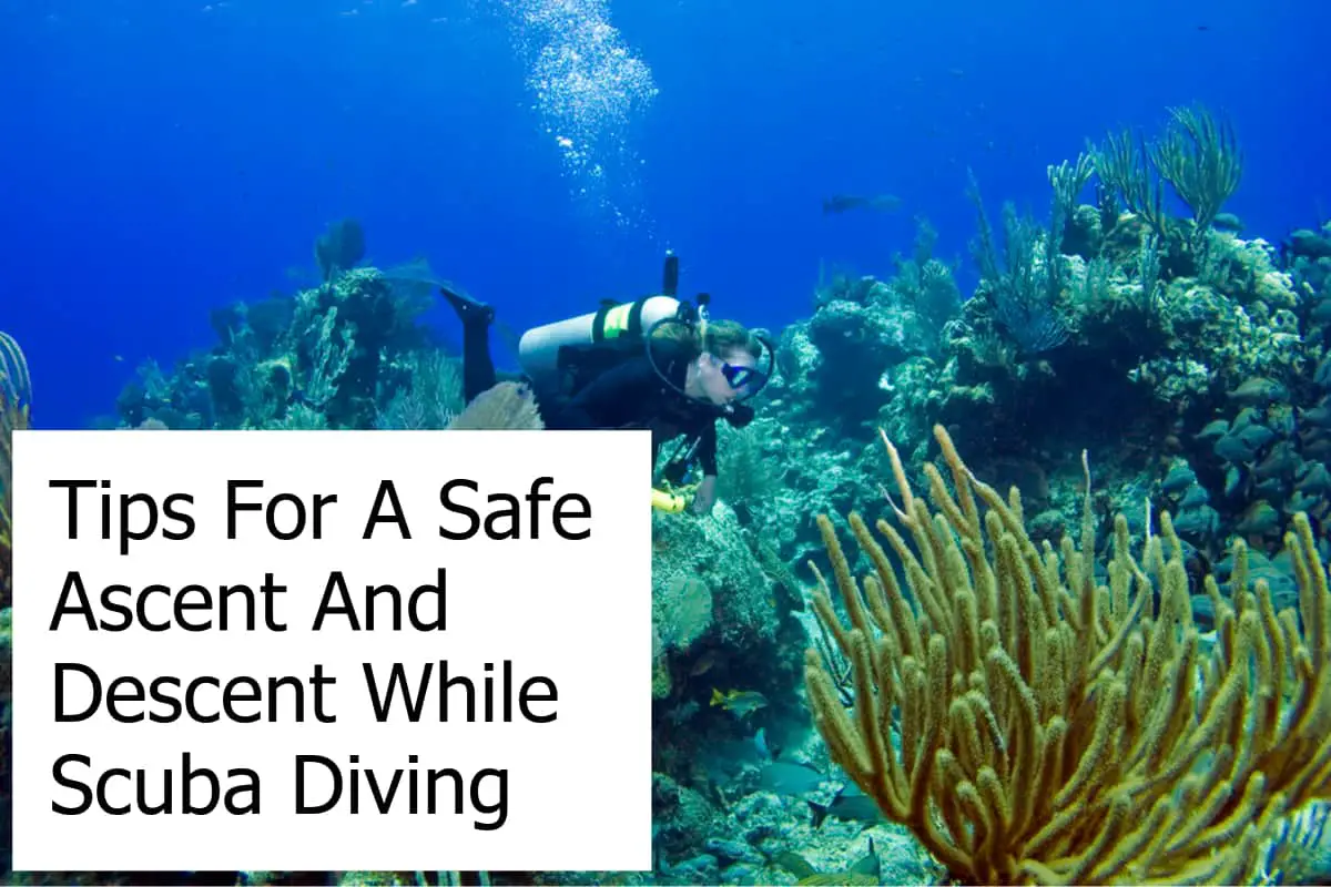Tips For A Safe Ascent And Descent While Scuba Diving