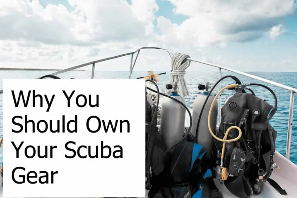 Are there any reasons why a scuba diver should own their gear instead of renting it?