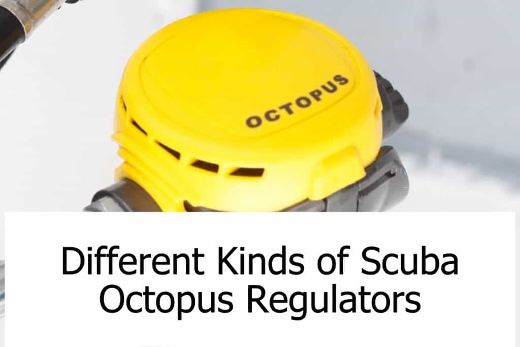 Octopus regulators are an important part of your dive gear. Learn what different types are available!