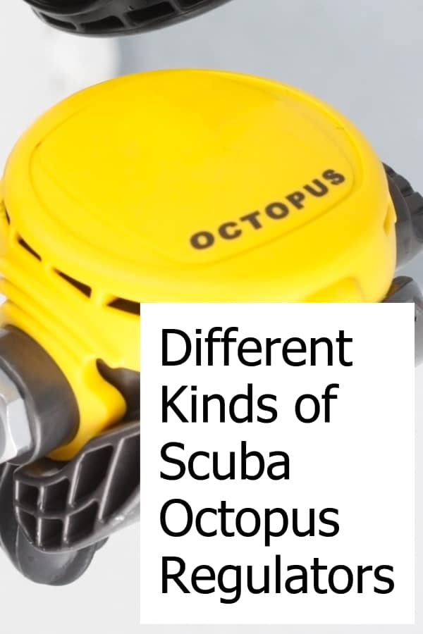 Octopus regulators are an important part of your dive gear. Learn what different types are available!