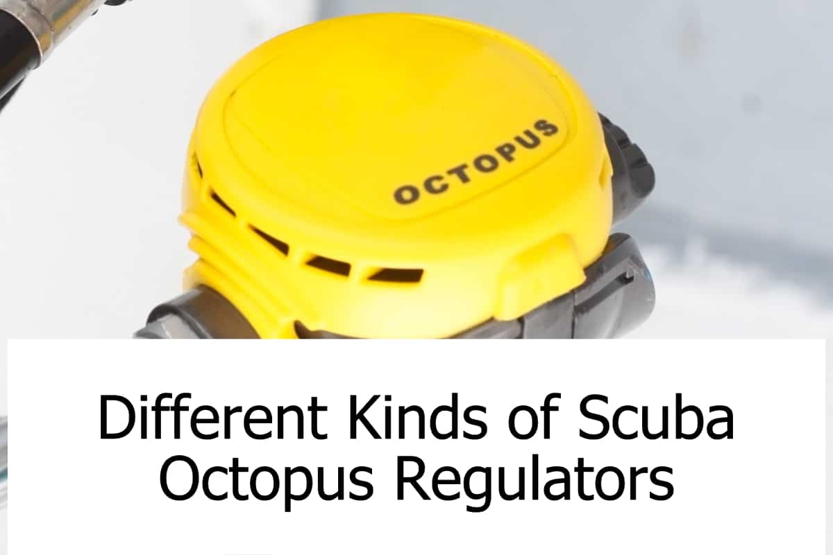 Octopus regulators are an important part of your dive gear. Learn what different types are available!