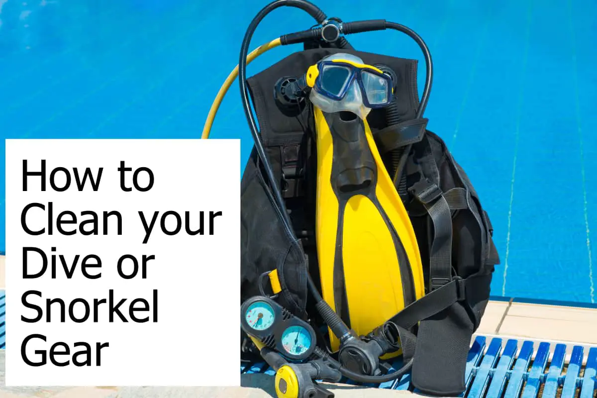 Steps to take to get your snorkel and dive equipment clean