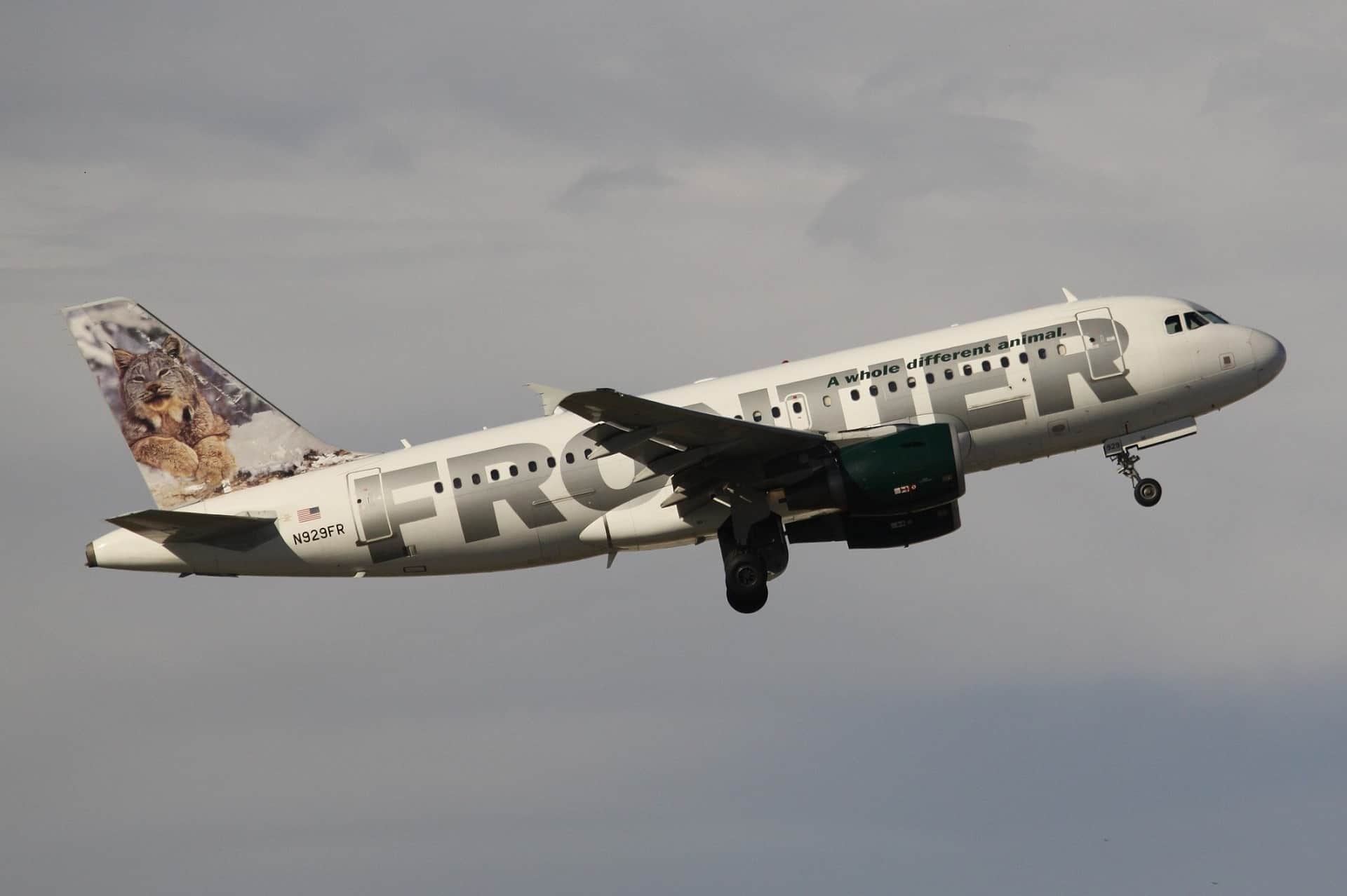 Airplane that gets you to or from your dive location. Can you dive after flying or fly after diving?