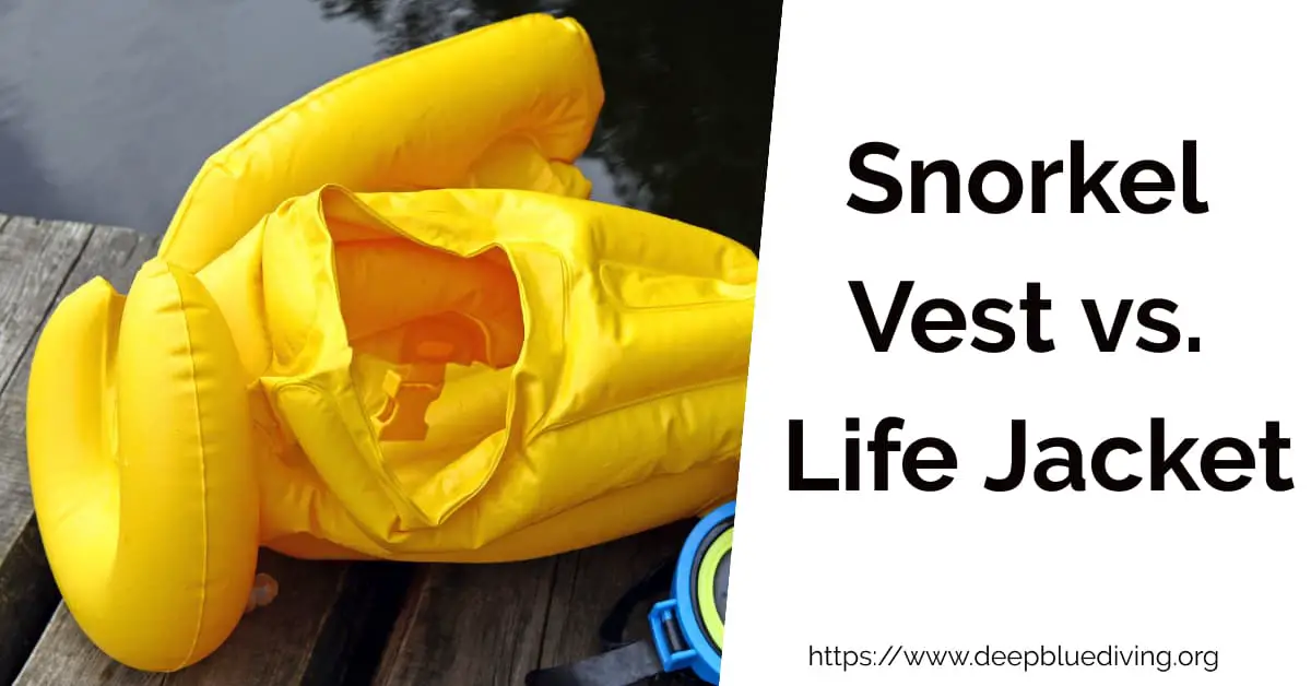 Comparing whether a snorkel vest or life jacket are the better options when you go snorkeling