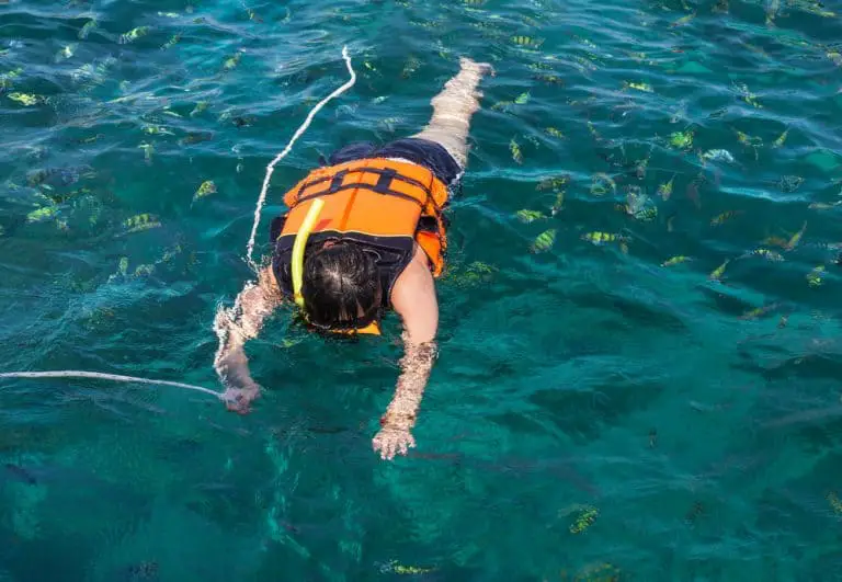 Snorkel Vest vs. Life Jacket Which is better for Snorkeling?