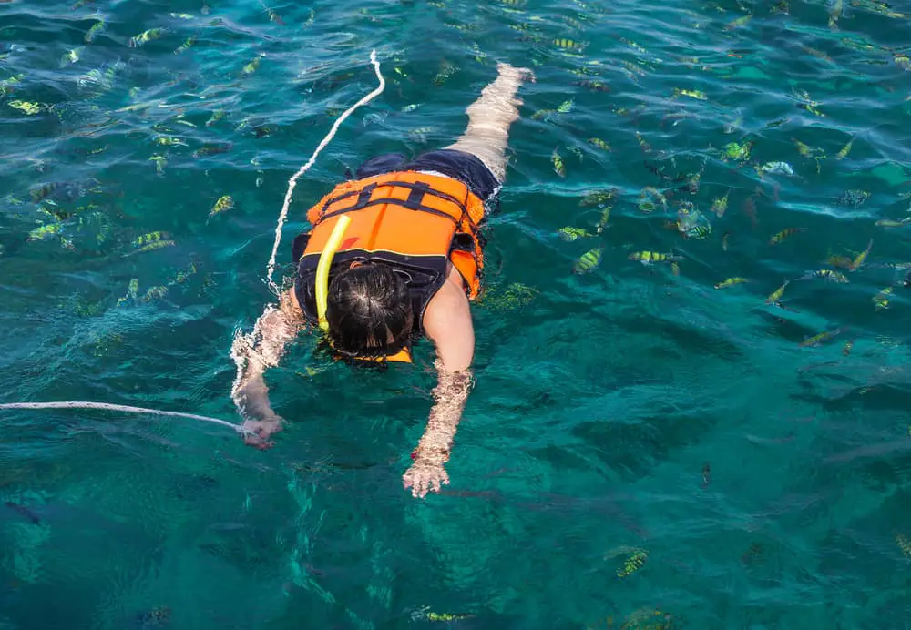 Snorkeling with a snorkel vest