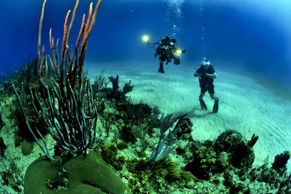 Two divers under water - Decompression Sickness