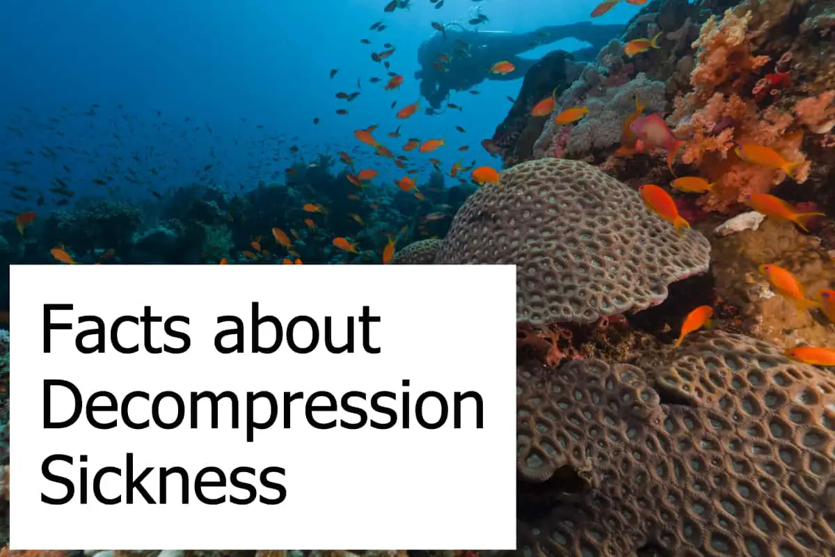 Decompression Sickness - Facts about the Bends