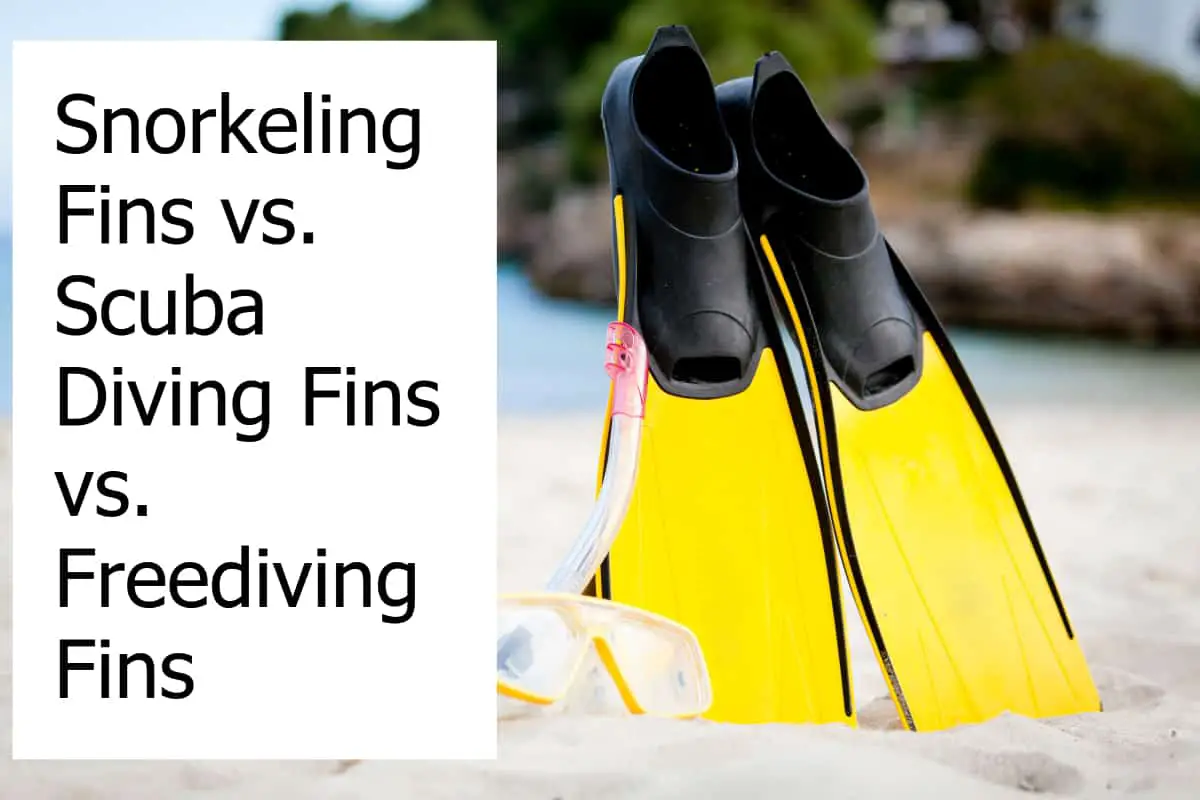 What is the difference between snorkeling, scuba diving and freediving fins?