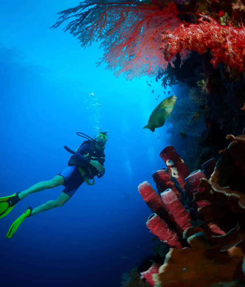 Diving along a wall