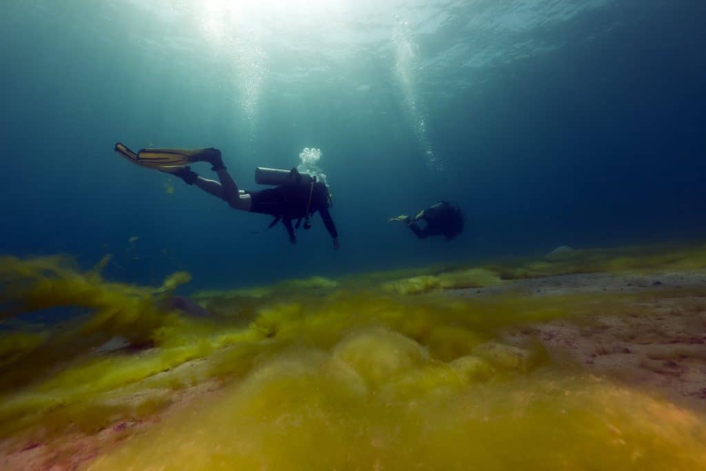 Drift diving lets you enjoy your surroundings while you're using the currents to move you around