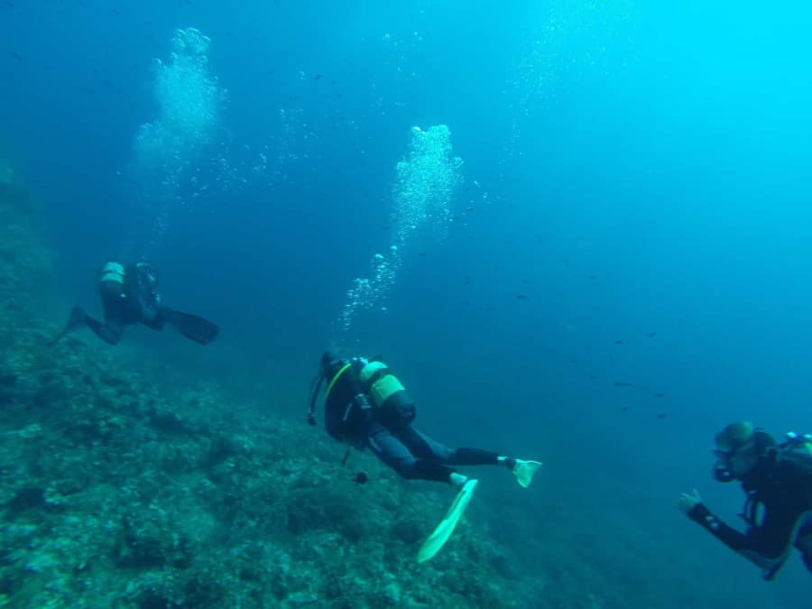 Drift Diving Drift Diving in the currents