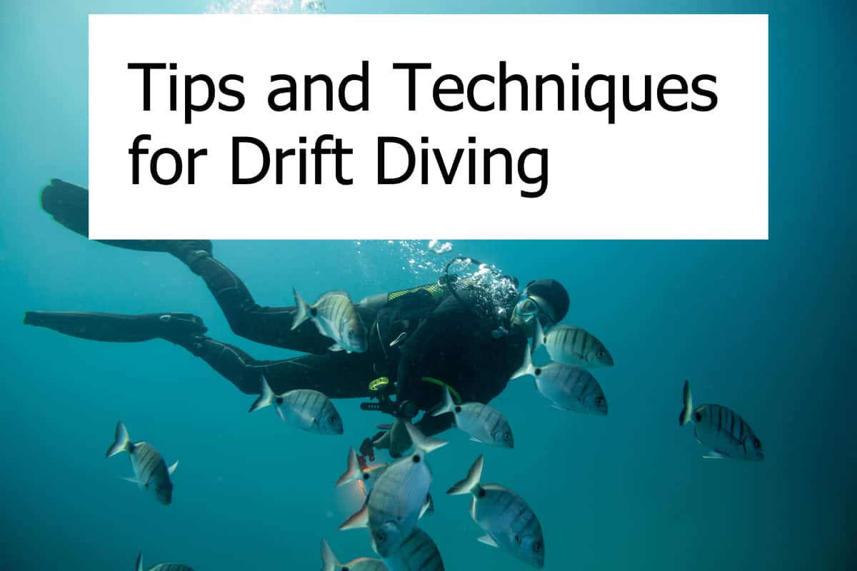 Tips and Techniques for Drift Diving Scuba Diving Gear