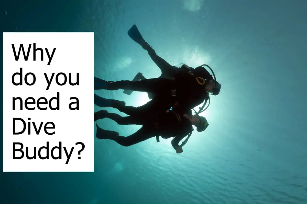 Is it safer to dive with a buddy? Do you need a Dive Buddy all the times?
