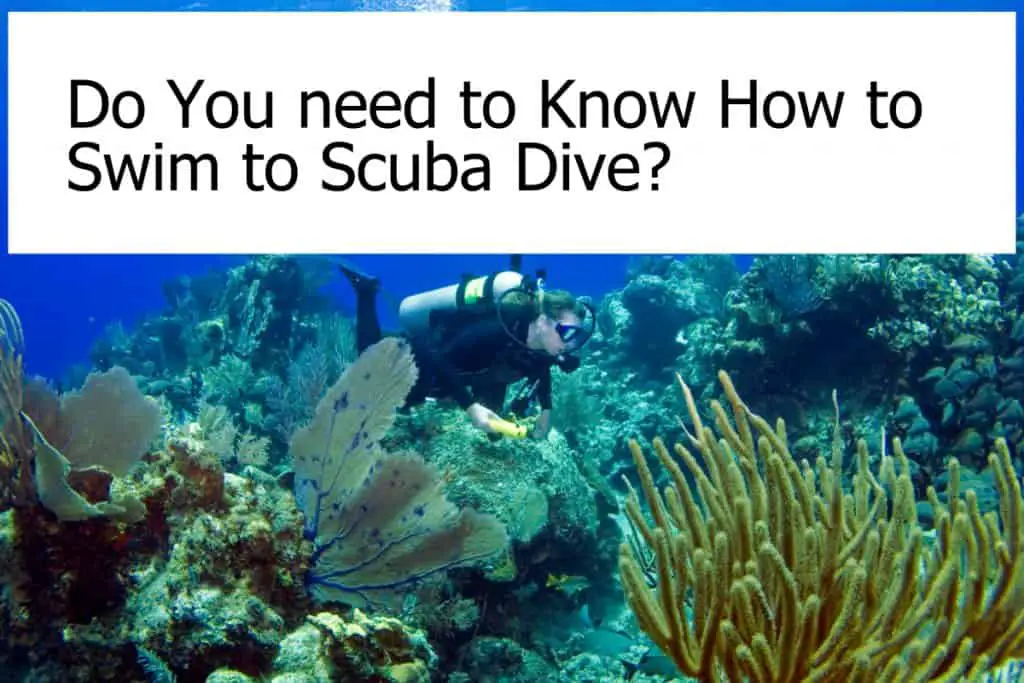Is it necessary to know how to swim when you want to go scuba diving?