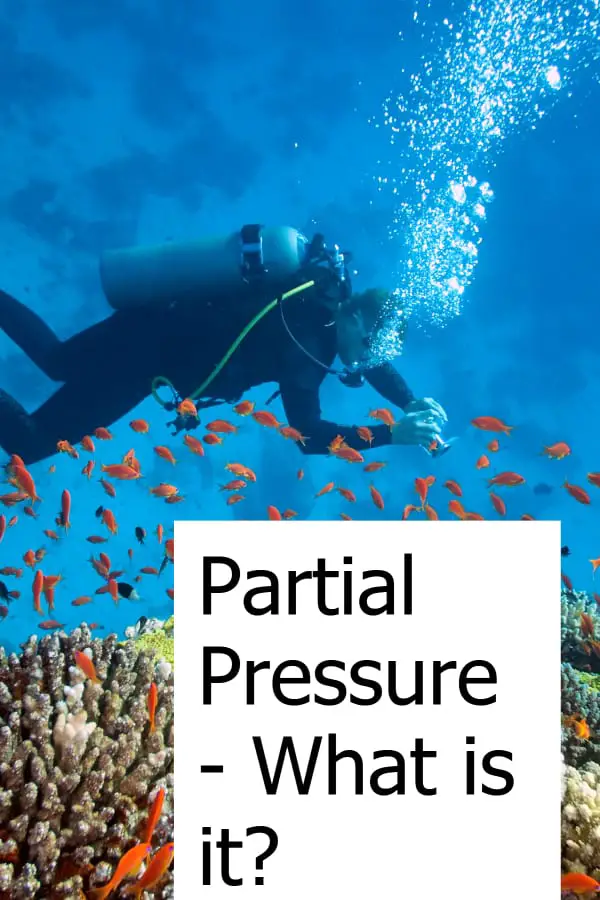 What is Partial Pressure? Do you need to know about it when scuba diving?