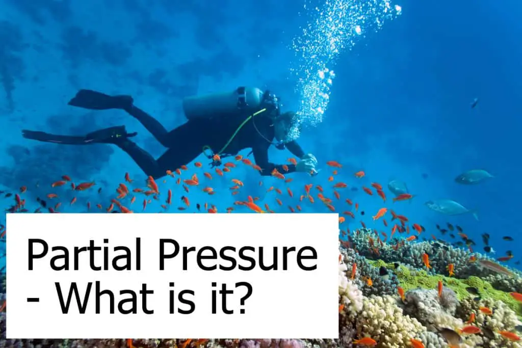 What is Partial Pressure? Do you need to know about it when scuba diving?