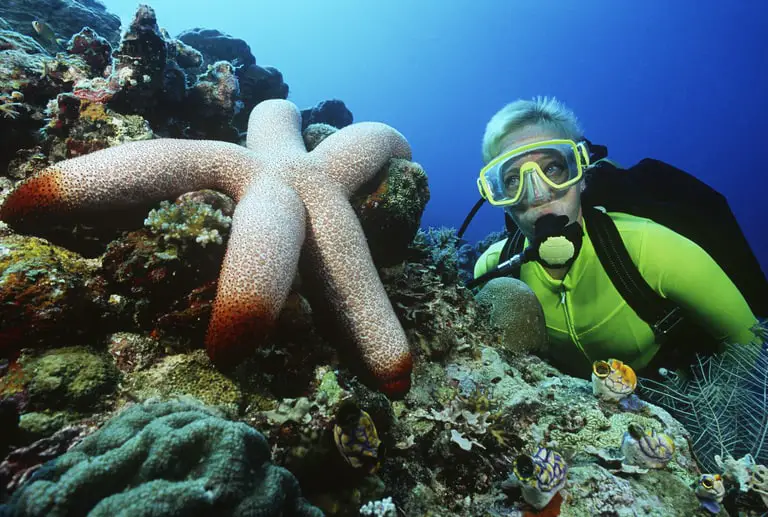 Dive Goggles for seeing underwater