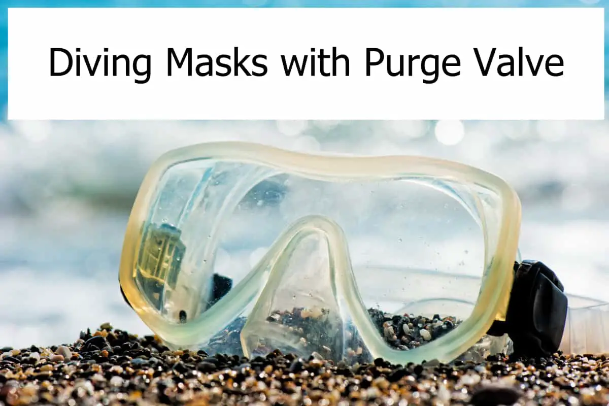 Diving Masks with Purge Valve Are they any good? Scuba Diving Gear