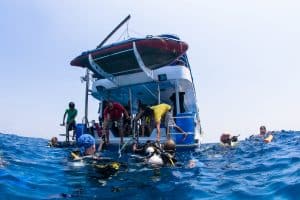 Liveaboard requires scuba gear fixing