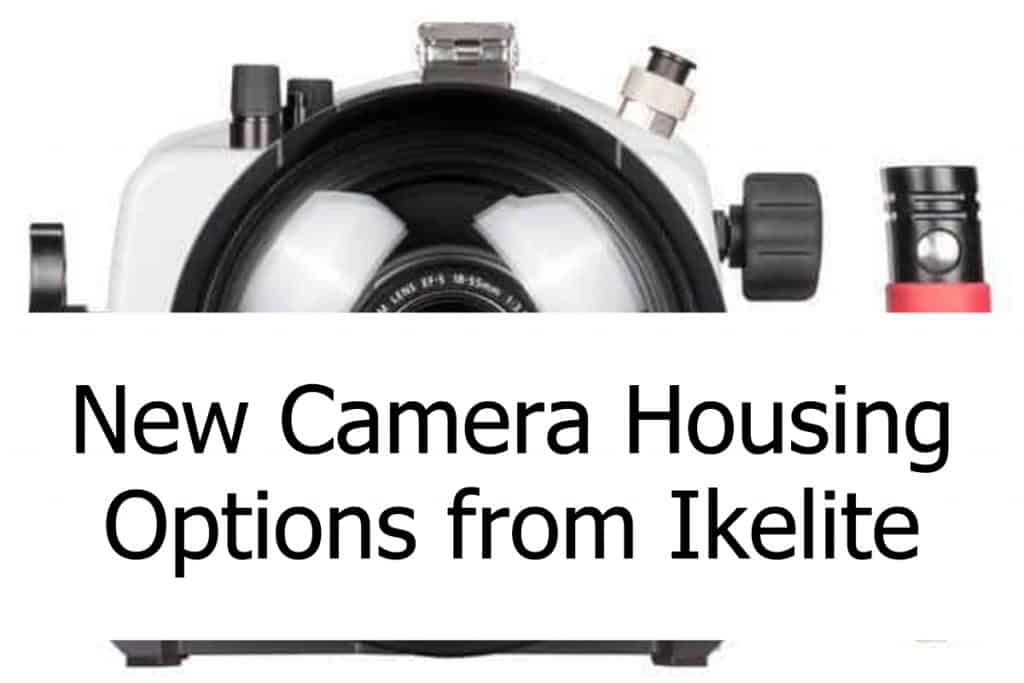 Ikelite offers waterproof camera housings for scuba diving