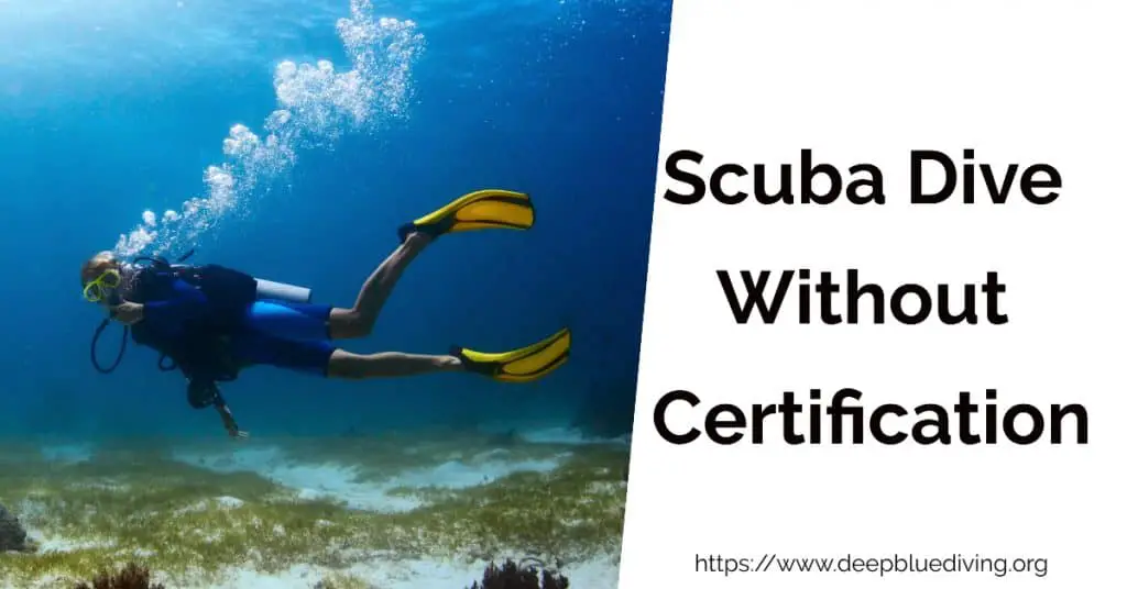 Scuba Diving Without Certification - Is it a good idea? Are Dive Licenses needed?