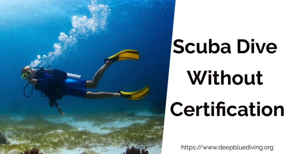 Scuba Dive Without Certification - Are Diving Licenses Needed?