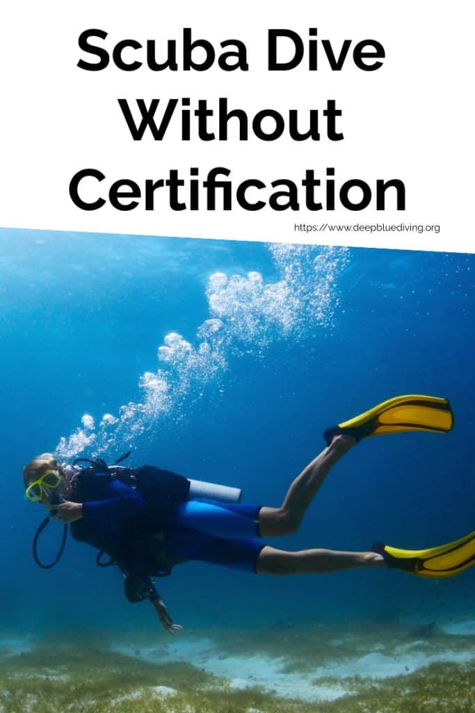 Scuba Diving Without Certification - Is it a good idea? Are Dive Licenses needed?