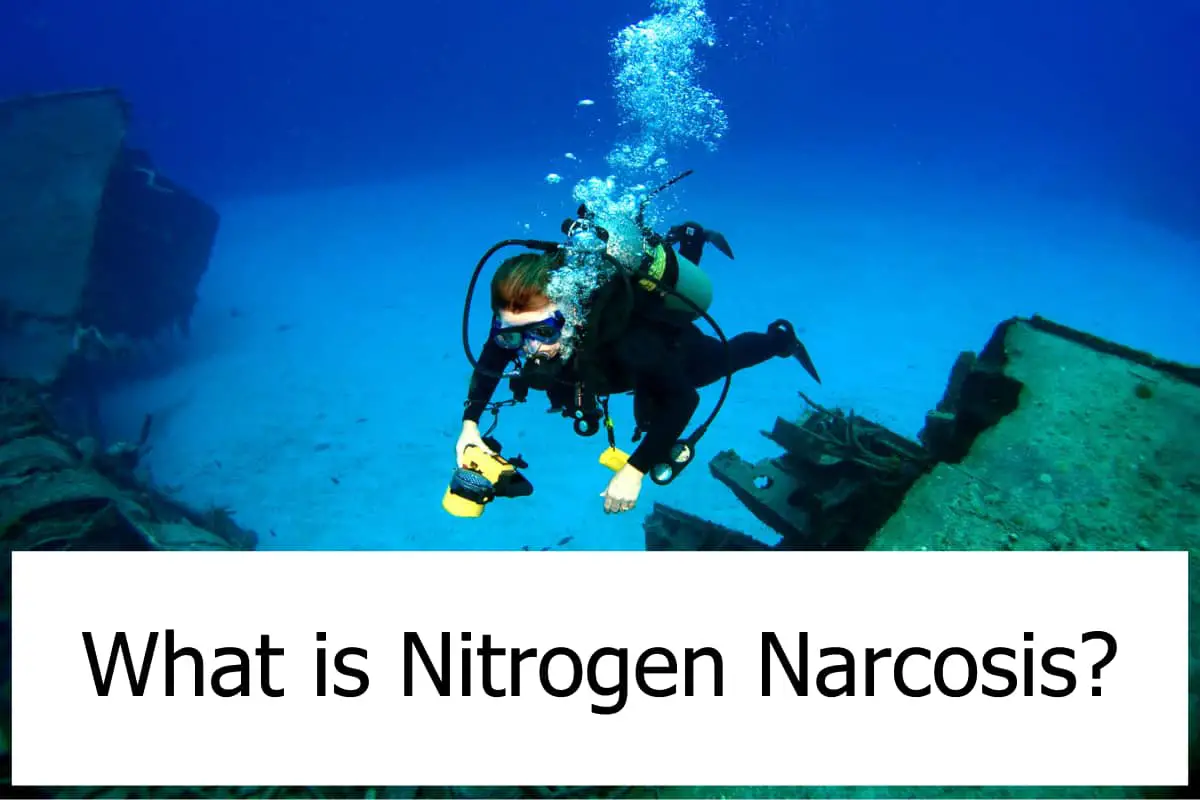 What is Nitrogen Narcosis? Scuba Diving Gear