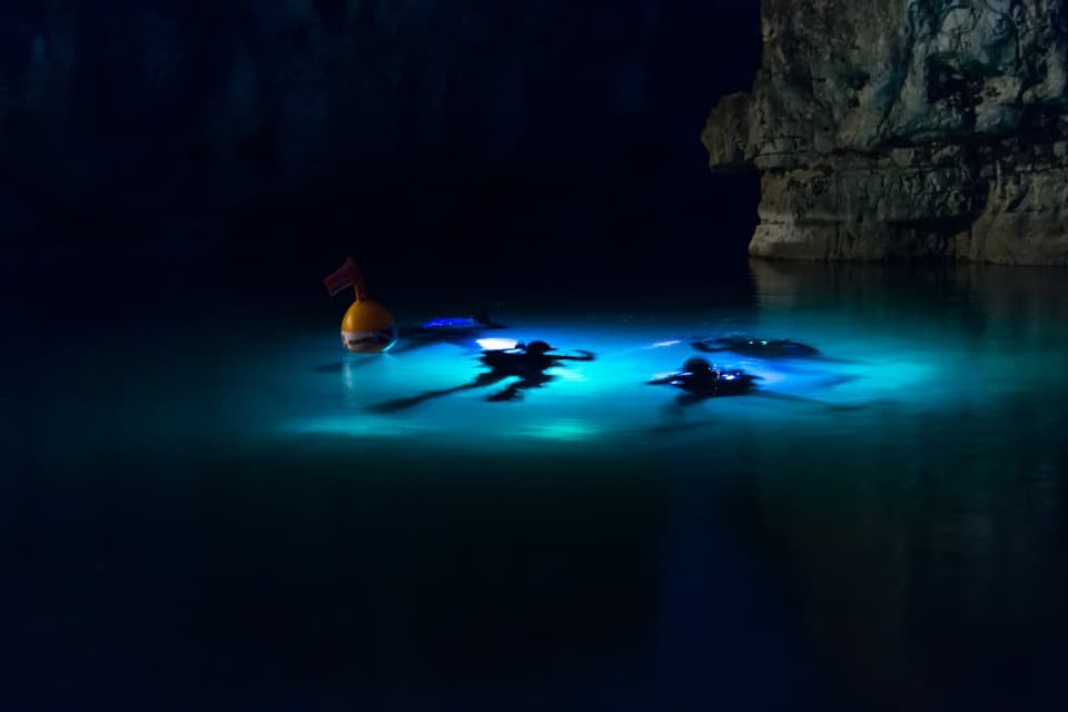 Scuba Diving at Night