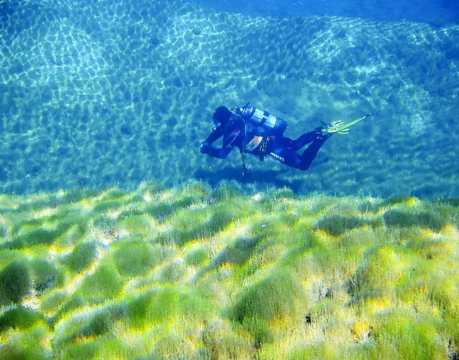 Shallow Diving Shallow Diving