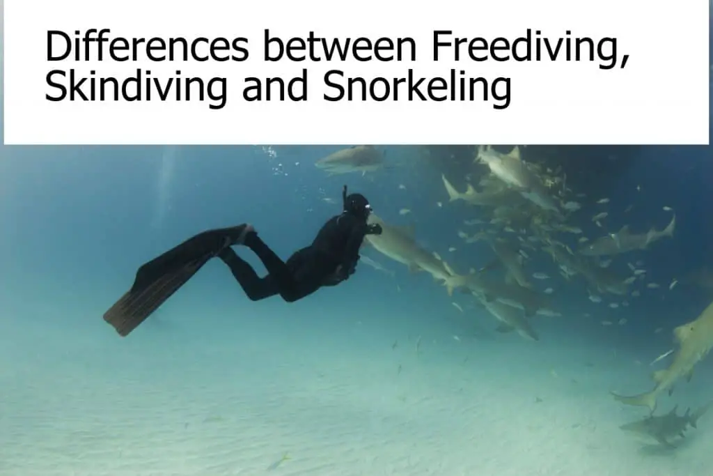 Freediving vs Skin Diving vs Snorkeling - What are the differences?